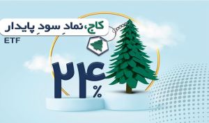 صندوق سرمایه‌گذاری پایدار نوویرا با نماد کاج پذیره‌نویسی خواهد شد