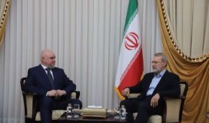 لاریجانی با وزیر انرژی روسیه دیدار کرد/ محور جلسه چه بود؟
