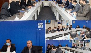 برنامه‌های سال ۱۴۰۱ بیمه سرمد تشریح شد/ تاکید رشنوادی بر پنج محور اصلی در برنامه استراتژیک سرمد