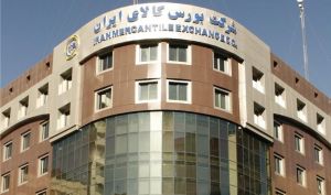 رونمایی بورس کالا از پیشرفته ترین ابزار مالی بازار سرمایه؛ آپشن آتی زعفران راه اندازی می شود