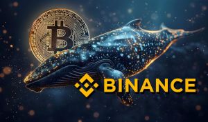 نهنگ بیت‌کوین ۵۶۸ بیت‌کوین را از بایننس برداشت کرد