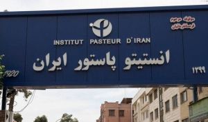 توضیح رئیس انستیتو پاستور درباره تهدیدات میکروبی در پی حملات/ نمونه‌های ارزشمند را به محیطی امن انتقال داده بودیم/ نشت میکروبی نداریم