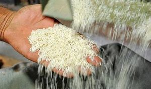 ثبت سفارش برنج آزاد شد