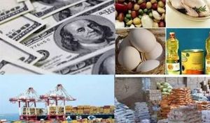 تأثیر حذف ارز ترجیحی بر افزایش قیمت کالاها چند درصد است؟