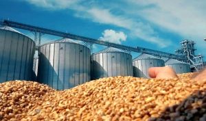 شوک‌های اقتصادی جنگ ایران به روایت بلومبرگ/ قیمت گندم در مسیر ثبت بزرگترین افزایش هفتگی