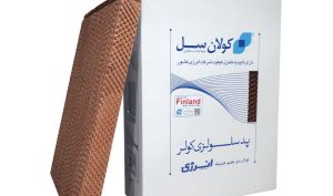 عمل به وعده در کولان سل؛ سود سهامداران حقیقی زودتر از موعد واریز شد