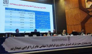 70 درصد سود «فگستر» بین سهامداران تقسیم شد