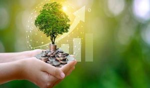 ارزیابی موقعیت‌ها و ریسک‌ها از طریق گزارشگری پایداری شرکت‌ها
