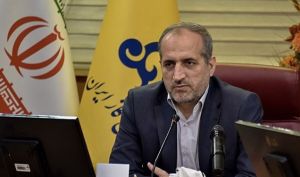 نگرانی مدیرعامل شرکت ملی گاز بابت تامین گاز خانگی در دو هفته آینده