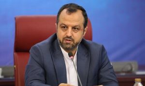 انتقاد وزیر اقتصاد از بی‌انضباطی مالی در برخی بانک‌های خصوصی
