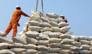 بلومبرگ: برنج در فهرست بعدی ممنوعیت صادراتی هند است