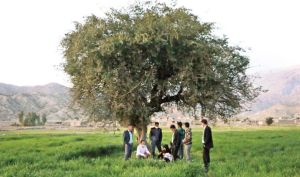 گزارشی خواندنی از روستایی که مردمش اموال خود را فروختند و سهام خریدند