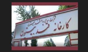 مجمع قند بیستون 78 ریال سود تقسیم کرد