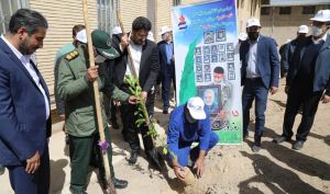 برگزاری مراسم نهال کاری به یاد شهدای پتروشیمی شیراز