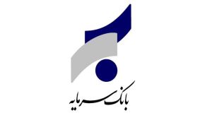 تدوین سند راهبردی مدیریت ریسک در بانک سرمایه