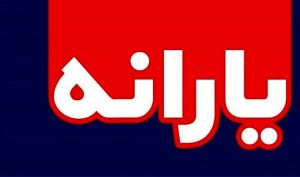 ارسال فهرست 4 میلیون معترض یارانه‌ای به سازمان هدفمندی