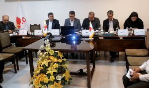 مجمع «غناب» سود تقسیم نکرد