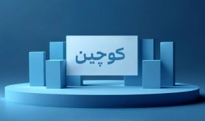 سرمایه «کوچین» ۲۹۴ درصد افزایش یافت