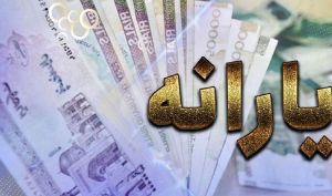 حسینی: یارانه نان و دارو حذف نمی‌شود