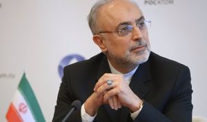 پیشنهاد علی‌اکبر صالحی برای مذاکره ایران و آمریکا: تغییر «عنوان» مذاکره به «ایران نباید سلاح هسته‌ای داشته باشد» / با این تغییر عنوان، هر دو طرف با حفظ آبرو می‌توانند به مذاکره بازگردند