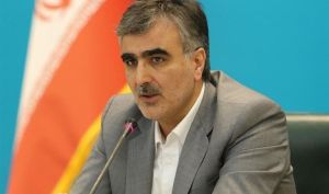 فرزین: مداخله بانک مرکزی در بازار ارز ادامه دارد