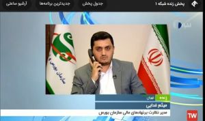 مدیر نظارت بر نهادهای مالی سازمان بورس و اوراق بهادار عنوان کرد؛ اخزاهای فروخته نشده در دستان پیمانکاران دولتی