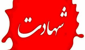 معاون فرمانده بسیج به شهادت رسید