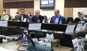 فروسیلیس ایران نیروگاه می سازد