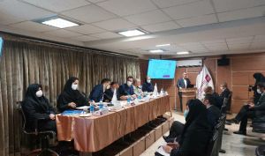 تقسیم سود 10 درصدی در مجمع بیمه نوین