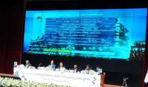پتروشیمی مارون 6 همت سود بین سهامداران تقسیم کرد