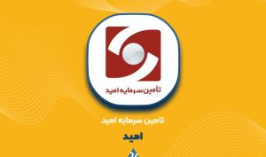 درآمد ۴.۱ هزار میلیاردی «امید» در ۷ ماه؛ گام بلند برای افزایش سرمایه و توسعه تعهدات