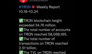 گزارش هفتگی TRON