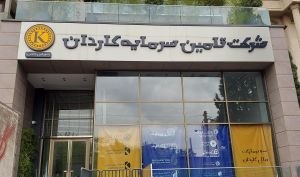 تکاردان» ۷۰ درصد از درآمدهای سال قبل را در ۶ ماه پوشش داد؛ برآورد پی‌به‌ئی فوروارد ۲