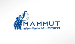 چه خودروهایی در صف پذیرش بورس کالا هستند؟