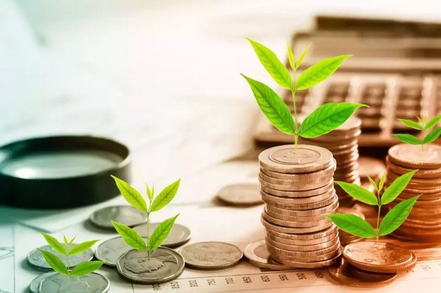 «وطوبی» از علت تغییرات سود گفت