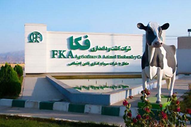 افشای «زفکا» در خصوص جدول تحلیل حساسیت