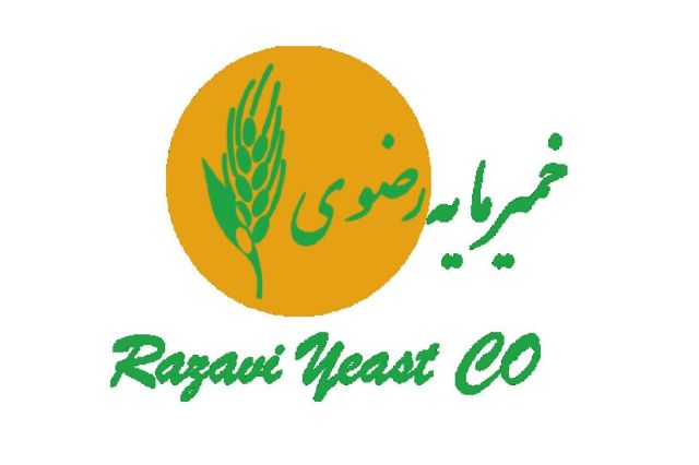 رشد 36 درصدی درآمد فروش «غمایه» در 11 ماهه 1404
