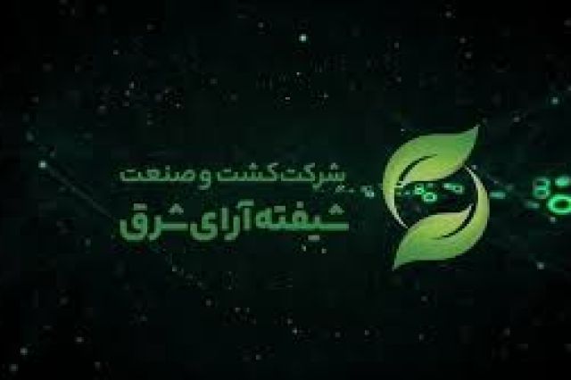 نامه تکمیل افشاء اطلاعات «شیفته» قبل از عرضه اولیه