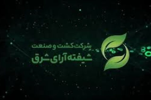 ثبت سود 13,106,500 ریالی به ازای هر سهم «شیفته» در یکساله