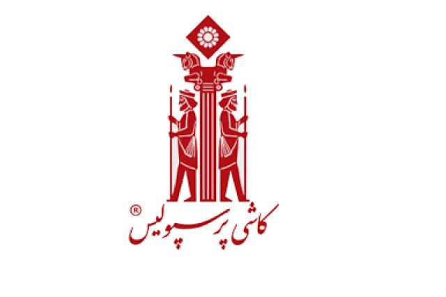 جهش ۲۰۱ درصدی سود خالص «کپرسپولیس» در ۶ ماهه ۱۴۰۵