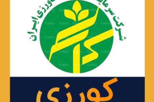 تحقق زیان 8 میلیارد تومانی «کورزی» در پایان سال مالی