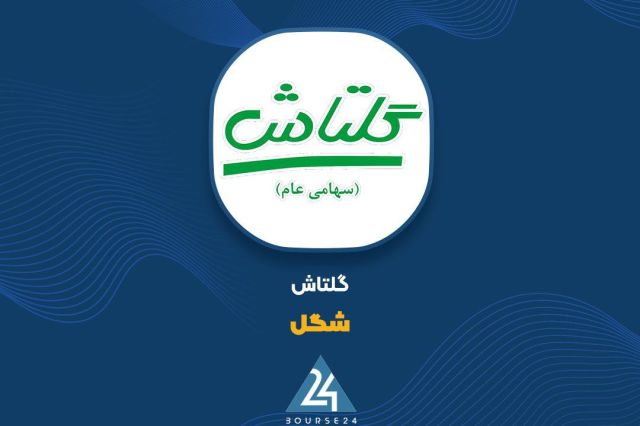 بررسی صورت مالی 12 ماهه «شگل»