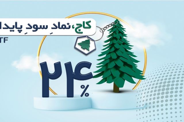 صندوق سرمایه‌گذاری پایدار نوویرا با نماد کاج پذیره‌نویسی خواهد شد