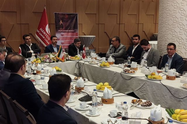 تشریح پتانسیل های هامون نایزه برای فعالان بازار سرمایه/ از افزایش ظرفیت تولید تا توسعه صادرات