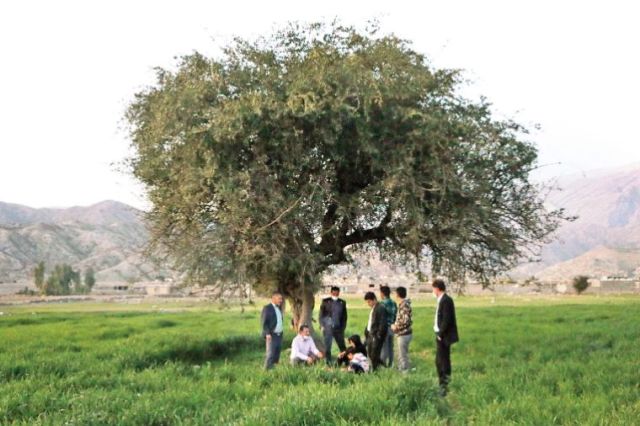 گزارشی خواندنی از روستایی که مردمش اموال خود را فروختند و سهام خریدند