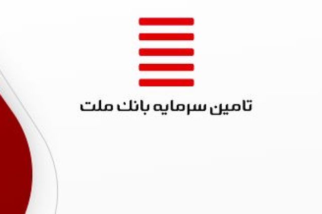 مدیرعامل جدید تامین سرمایه بانک ملت معرفی شد