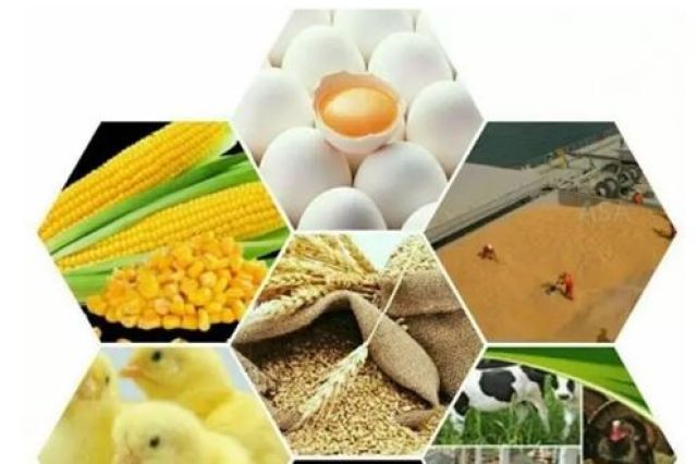 رانت ۱۸ هزار میلیارد تومانی ارز ۴۲۰۰ تومانی برای خواص