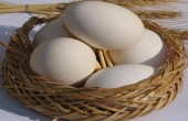 صندوق ها چه حال و روزی دارند...؟