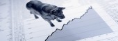 جهش در برخی قیمت ها 