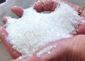 الگوی کوسه صعودی «قشکر»